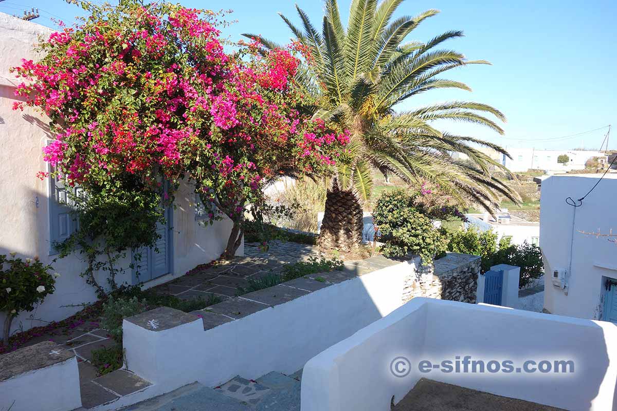 Un giardino nel villaggio di Agios Loukas