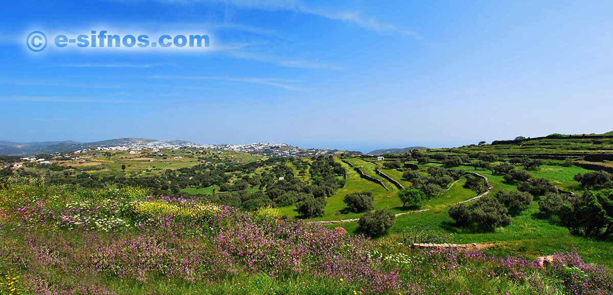 Paesaggio con fiori selvatici e sullo sfondo i villaggi centrali