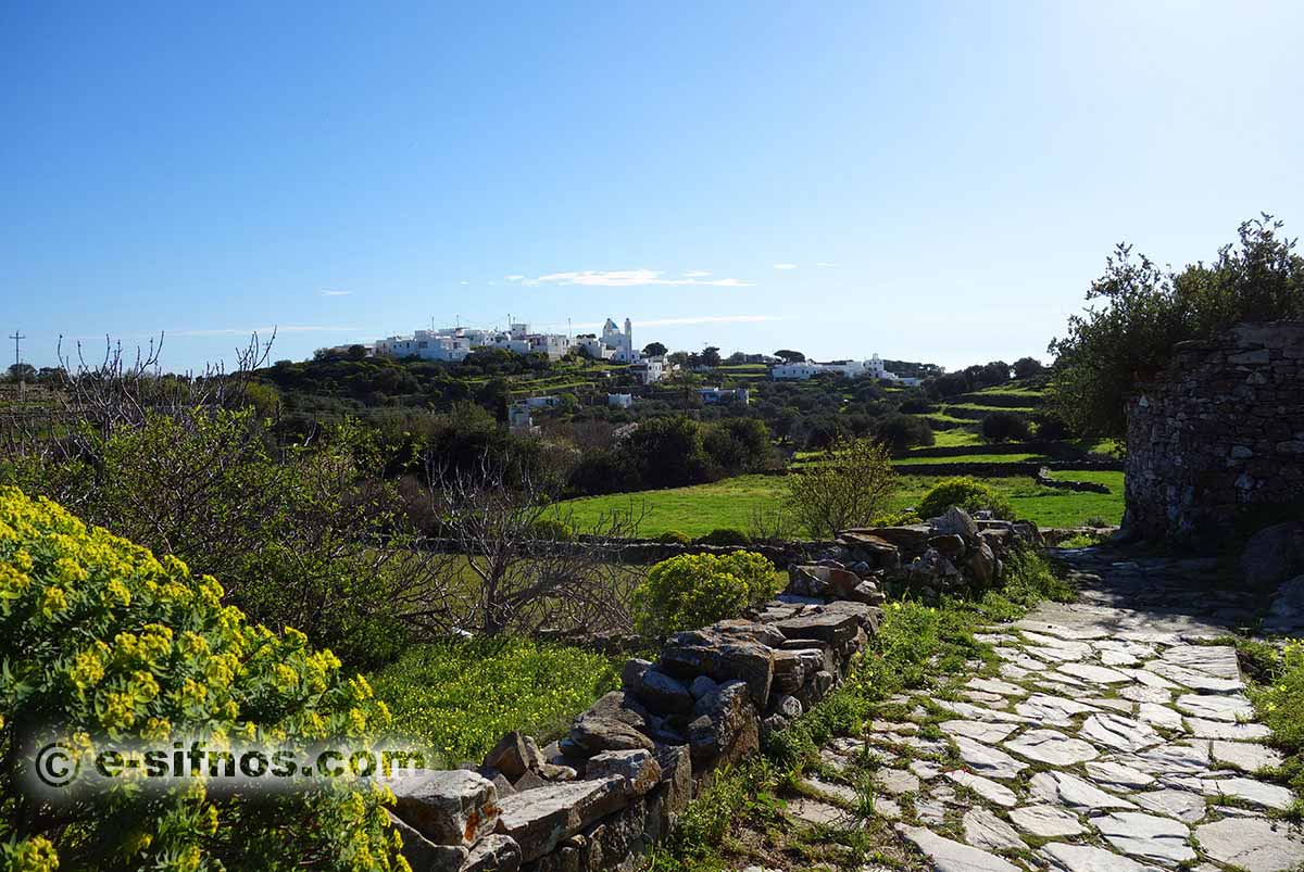 Il sentiero da Apollonia a Kato Petali in primavera a Sifnos