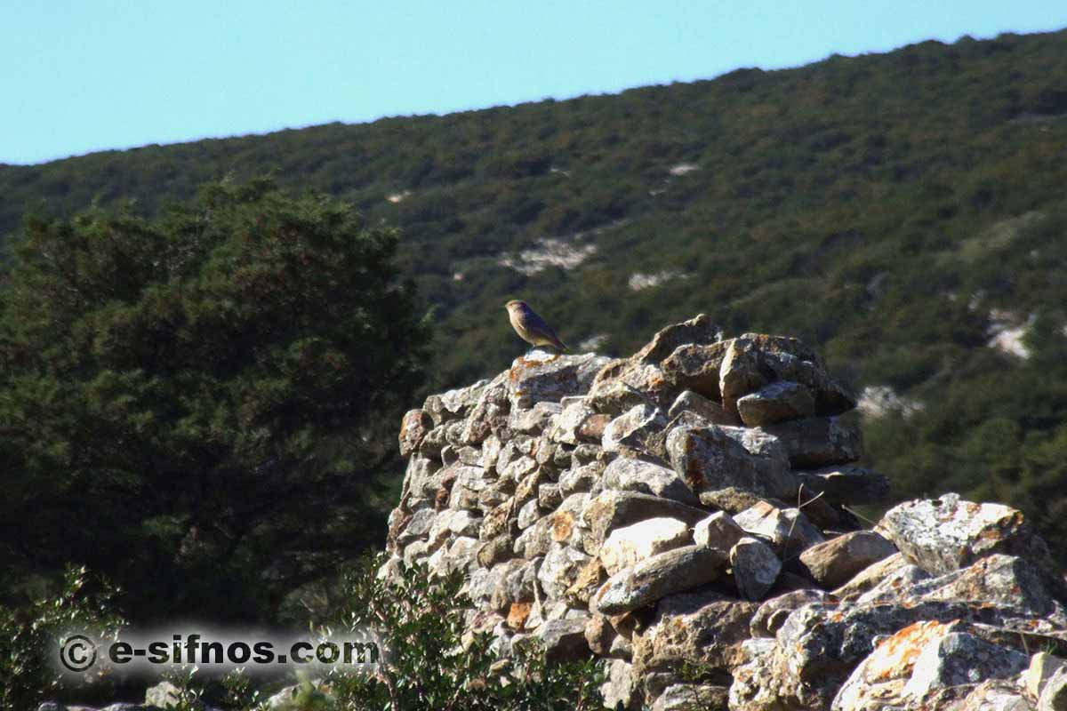 Area Natura 2000