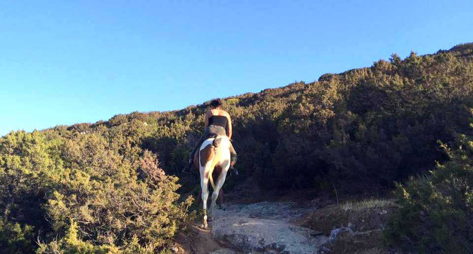Passeggiata a cavallo sui sentieri di Sifnos
